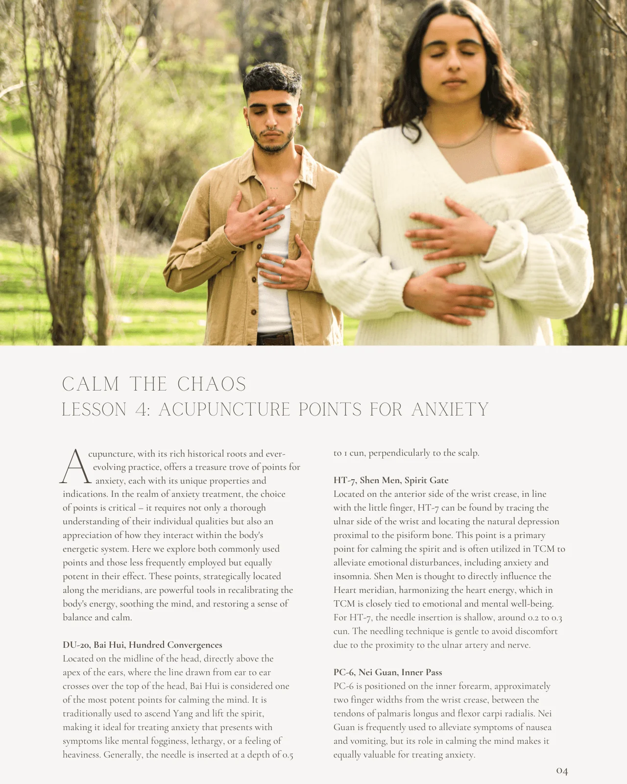 Calm The Chaos: The Acupuncture Approach to Anxiety - Chiropractic Continuing Education, Acupuncture, 10 Hours - Image 4