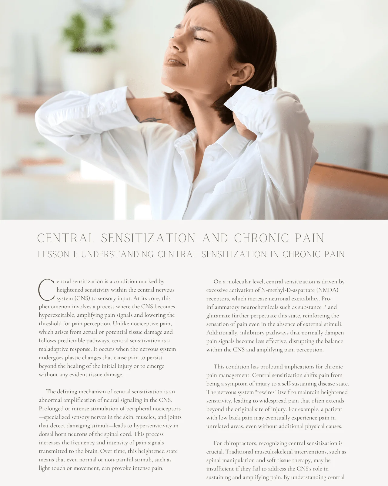 Central Sensitization and Chronic Pain: Advanced Chiropractic Strategies for Neuropathic and Intractable Pain - Chiropractic Continuing Education, Pain Management, 4 Hours - Image 4