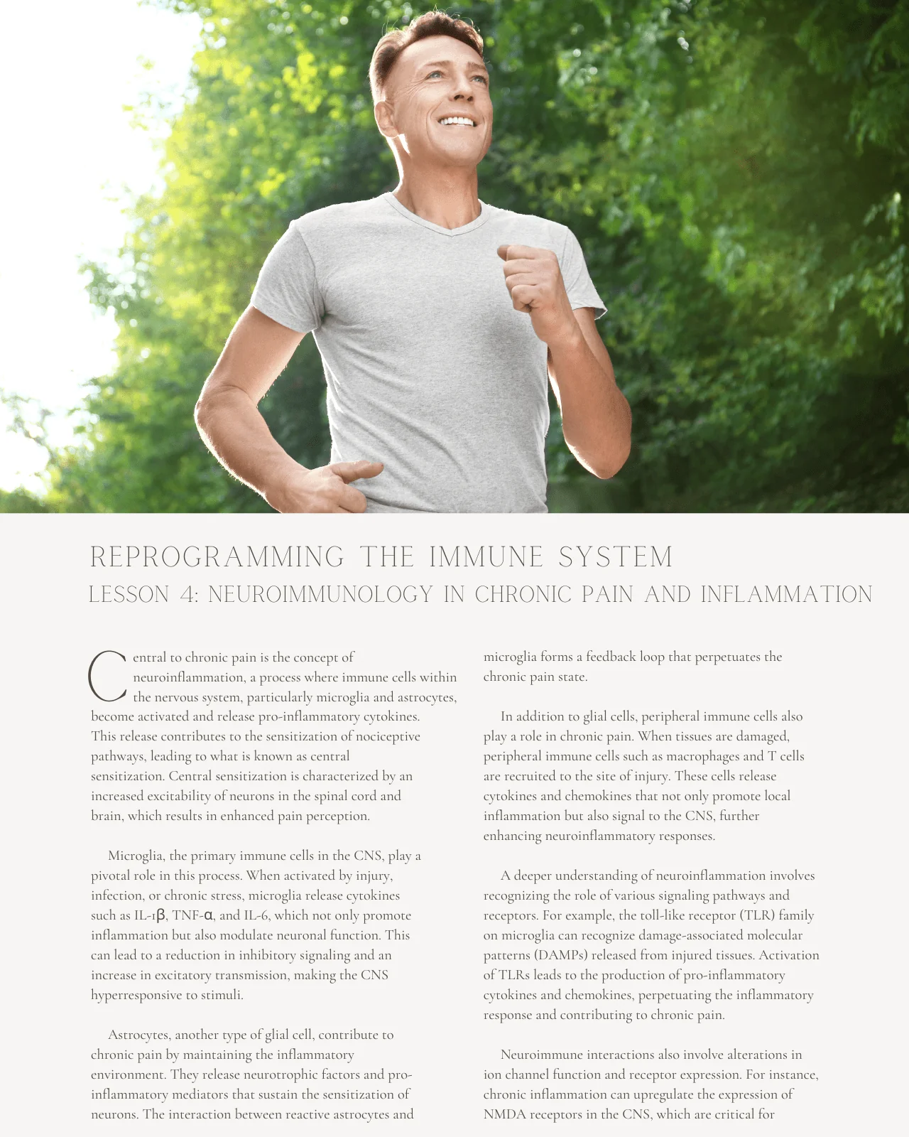 The Present and Future in Neuroimmunology: Reprogramming the Immune System Through Chiropractic - Chiropractic Continuing Education, General, Neurology, 12 Hours - Image 5
