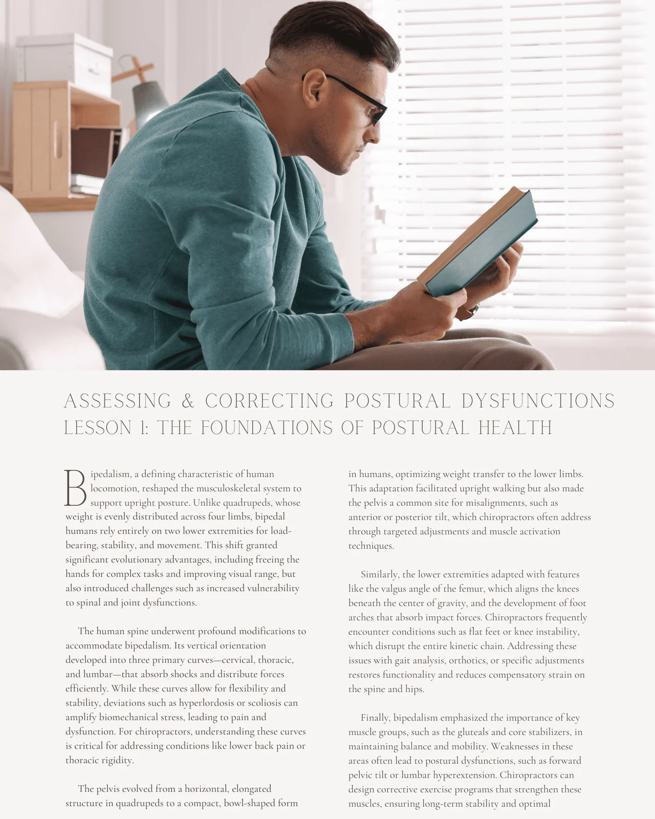 Straighten Up: Strategies for Assessing and Correcting Postural Dysfunctions - Chiropractic Continuing Education, Diagnosis, Adjustive Technique, 10 Hours - Image 4