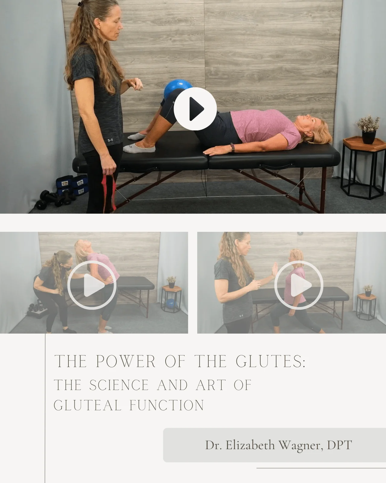 Unlock the Power of the Glutes: The Science and Art of Gluteal Function - Chiropractic Continuing Education, Orthopedics, 5 Hours - Image 3