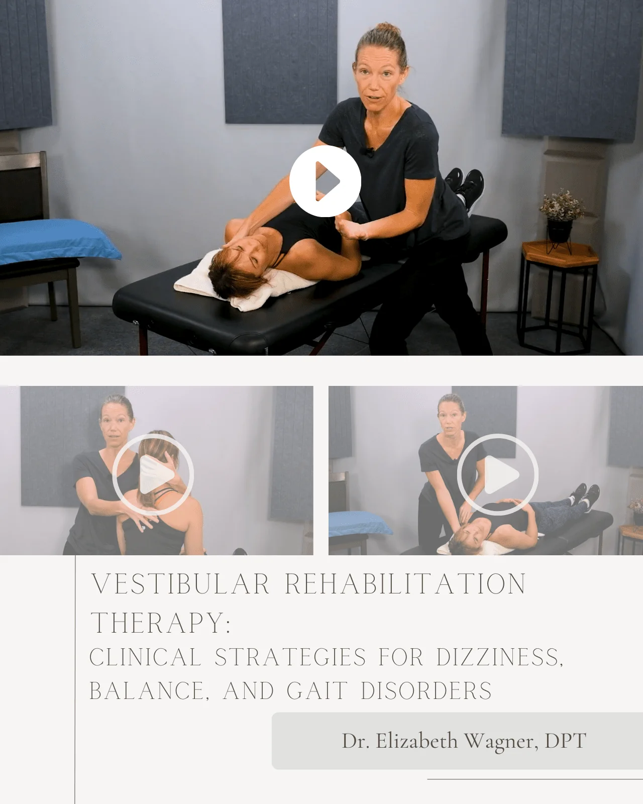 Vestibular Rehabilitation Therapy: Clinical Strategies for Dizziness, Balance, and Gait Disorders - Chiropractic Continuing Education, Neurology, 7 Hours - Image 3